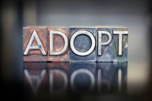 What does judicial removal do to a child? How adoption effects children
