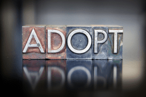 What does judicial removal do to a child? How adoption effects children