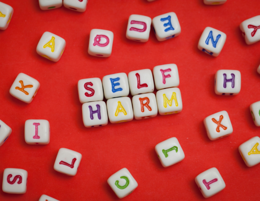 Webinar: What Every Parent Needs to Know about Self-Harming